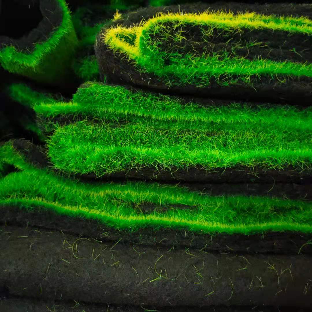 Мох искусственный квадратный 1x1 м зеленый