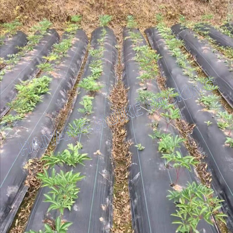 PP PE Material Plastic Weed Control Mat Weed Barrier