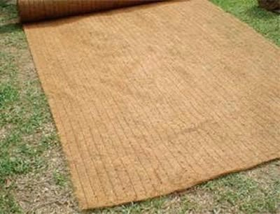 500g 600g 300g 400g Coconut Coir Fiber Geotextile Mats Erosion Control Blanket for Slope Prorections