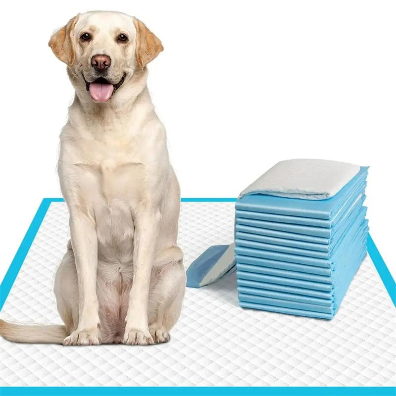 OEM Waterproof Wholesale Pet Puppy Diaper Training Disposable Pet Urine PEE Absorption and Potty Wee Pads for Dog Padding 60*90 60*60