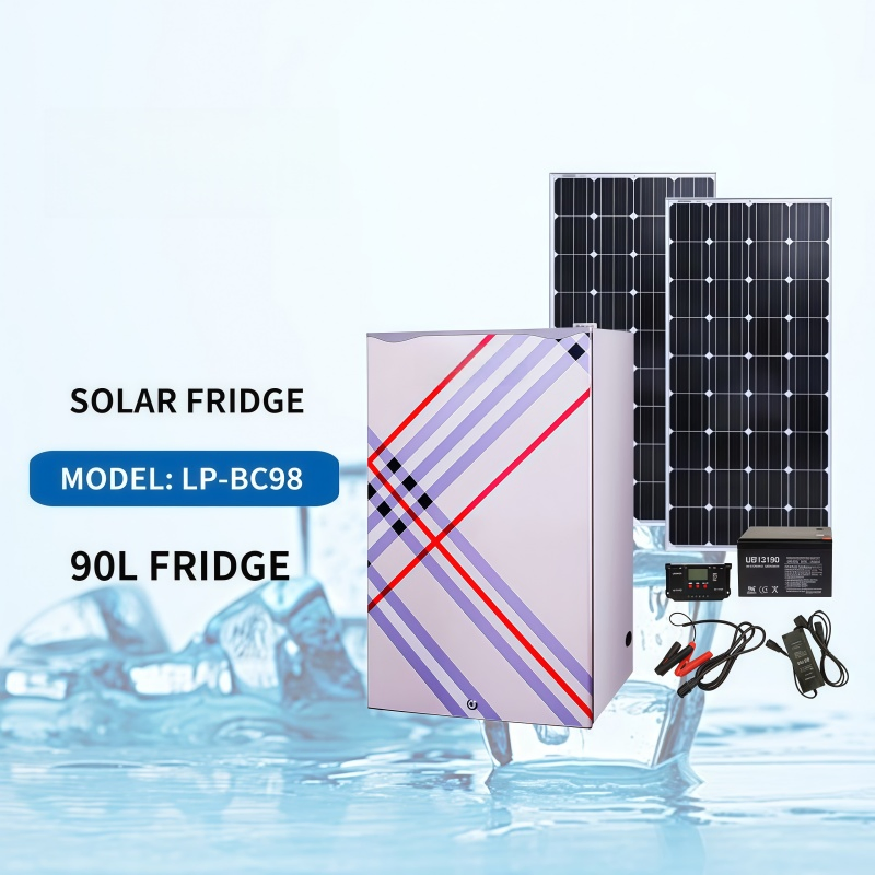 Portable Mini Small Fridge Home Appliance 90L DC 12V/24V Solar Refrigerator Fridge