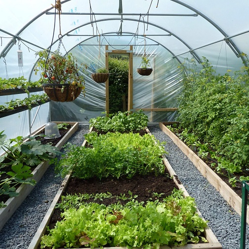 Customized Garden Products Flower House Warm Sunlight Vegetables Greenhouse with Cheap Price