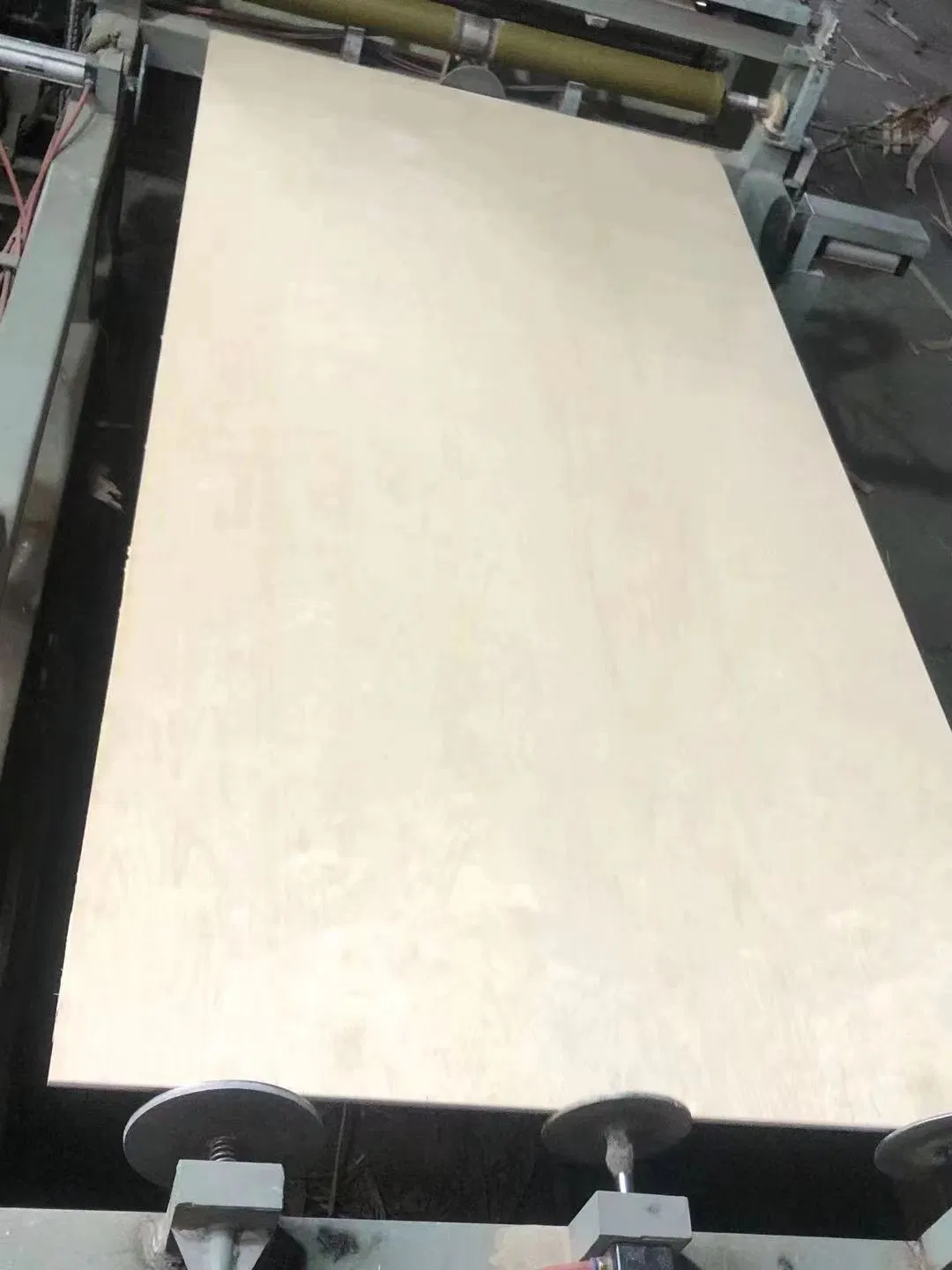 Bb/Bb Grade Eucalyptus or Poplar Core Bintangor Plywood/Okoume Plywood