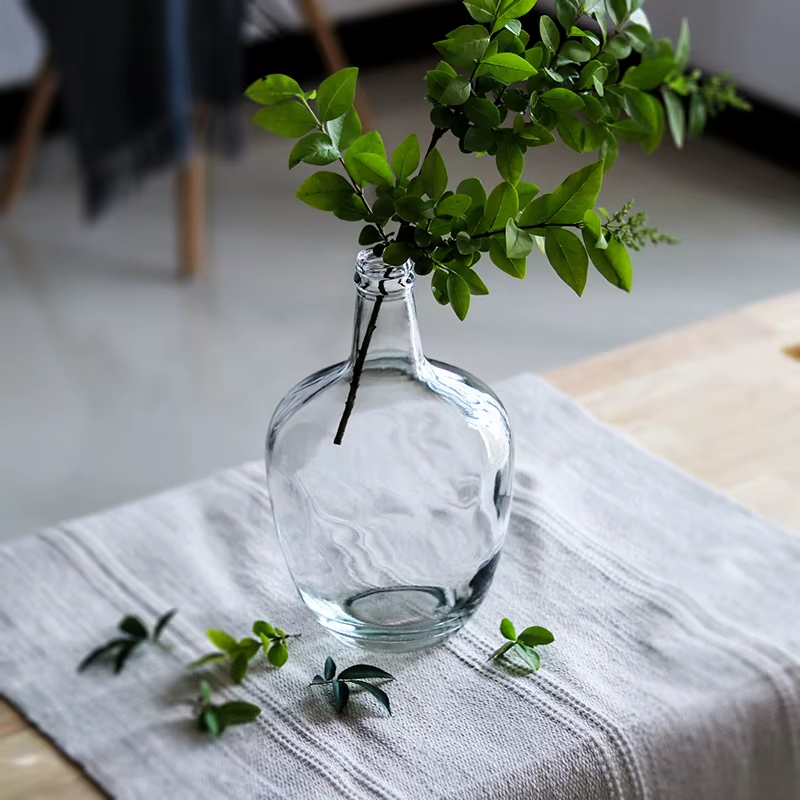 Big Belly Glass Vase Minimalist Transparent Glass Vase Home Decoration Floor Hydroponic Plant Glass Ornaments