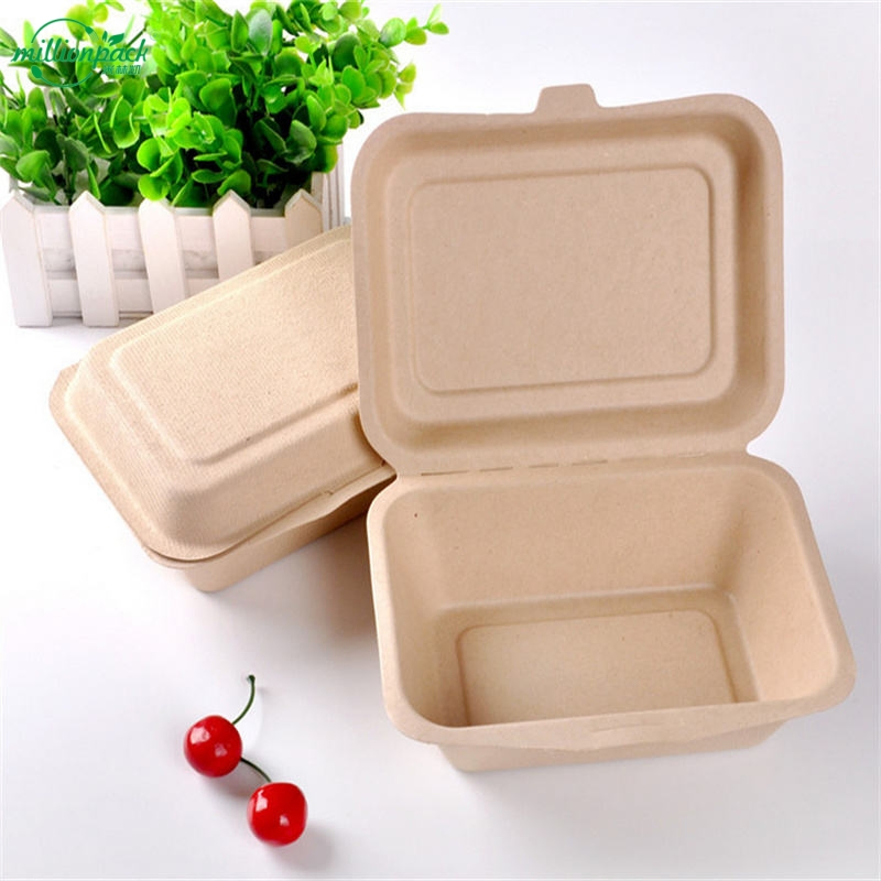 Biodegradable Quick-Composting Sugarcane Square Box for Festivals with Foldable Design