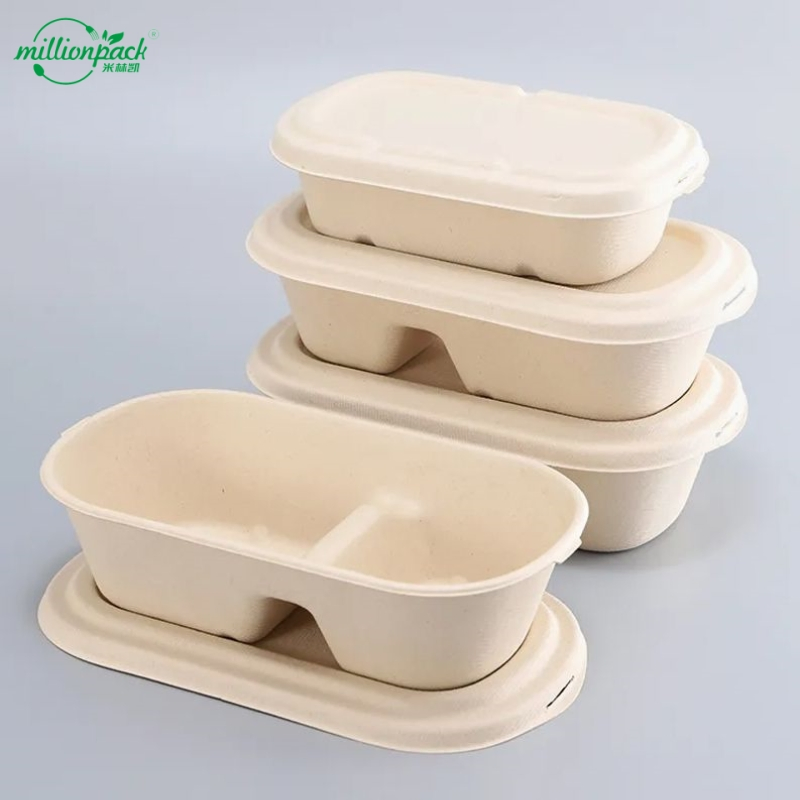 Eco-Friendly 6X6 Inch Box for Bento with Rice and Side Dish Zones
