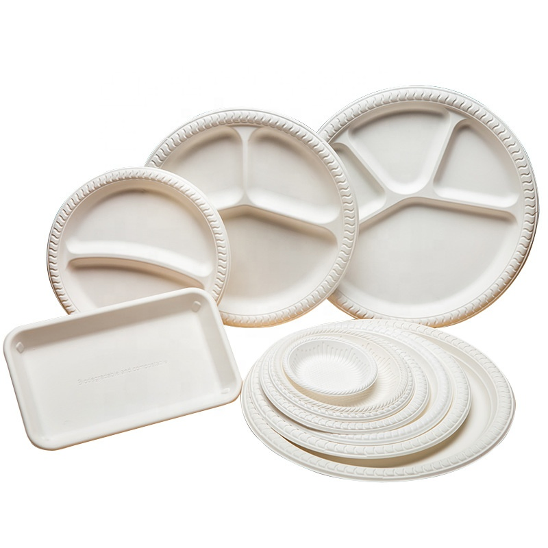 Disposable Plastic Plate Food Container Disposable Container Eco Friendly Corn Starch