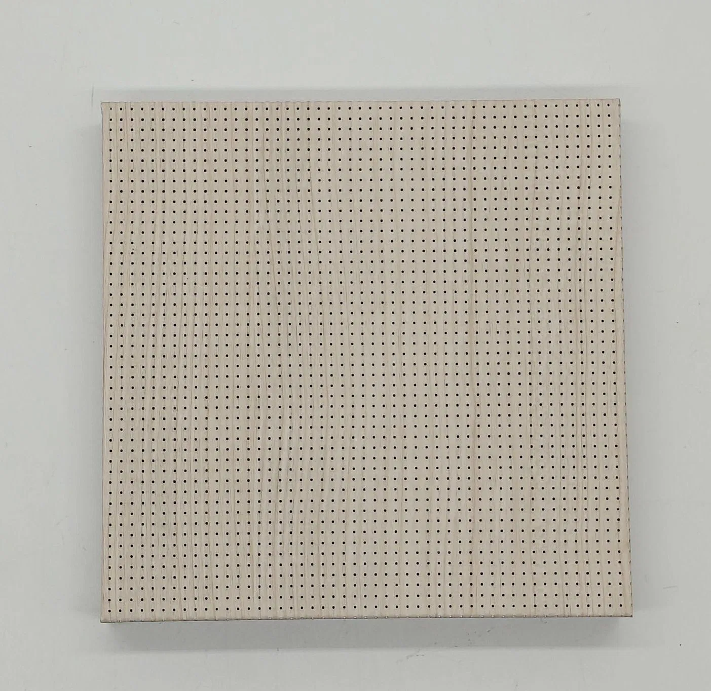 Sound- Proof Panel Aluminum Honeycomb Micro Perforated Acoustic Panel