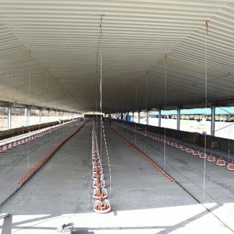 Affordable Automated Poultry House Systems for Easy Setup