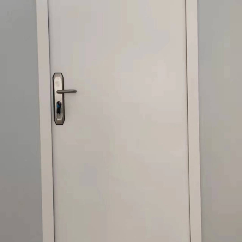 Modern Custom Color Prefinished Galvanized Steel Exterior Garage Door with Insulated Core