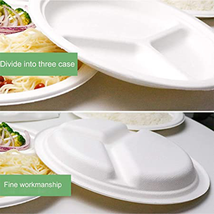 Compartment Biodegradable Plates Compostable Disposable Plates, Natural Bagasse Eco-Friendly Made of Suger Cane Fibers, White