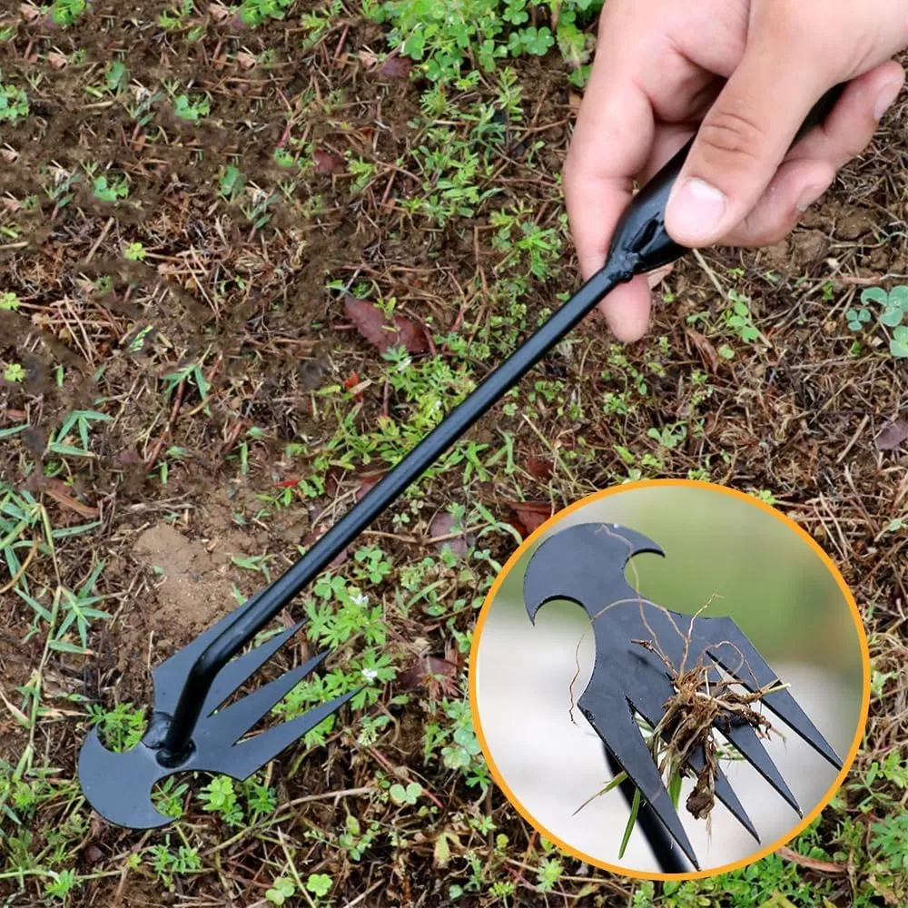 Ds-3422 2 Inch 2024 New Weed Pulling Tool 4 Teeth Black Painted Hand Weeder Efficient Weed Cleanup Tool Garden Weeding Tool Garden Hoe Factory Price