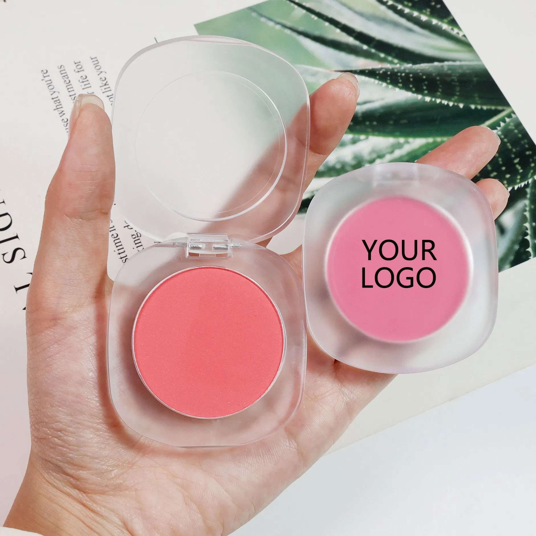 Wholesale 15-Color Powder Rouge Long-Lasting Matte Powder Blush with Private Label Makeup Products