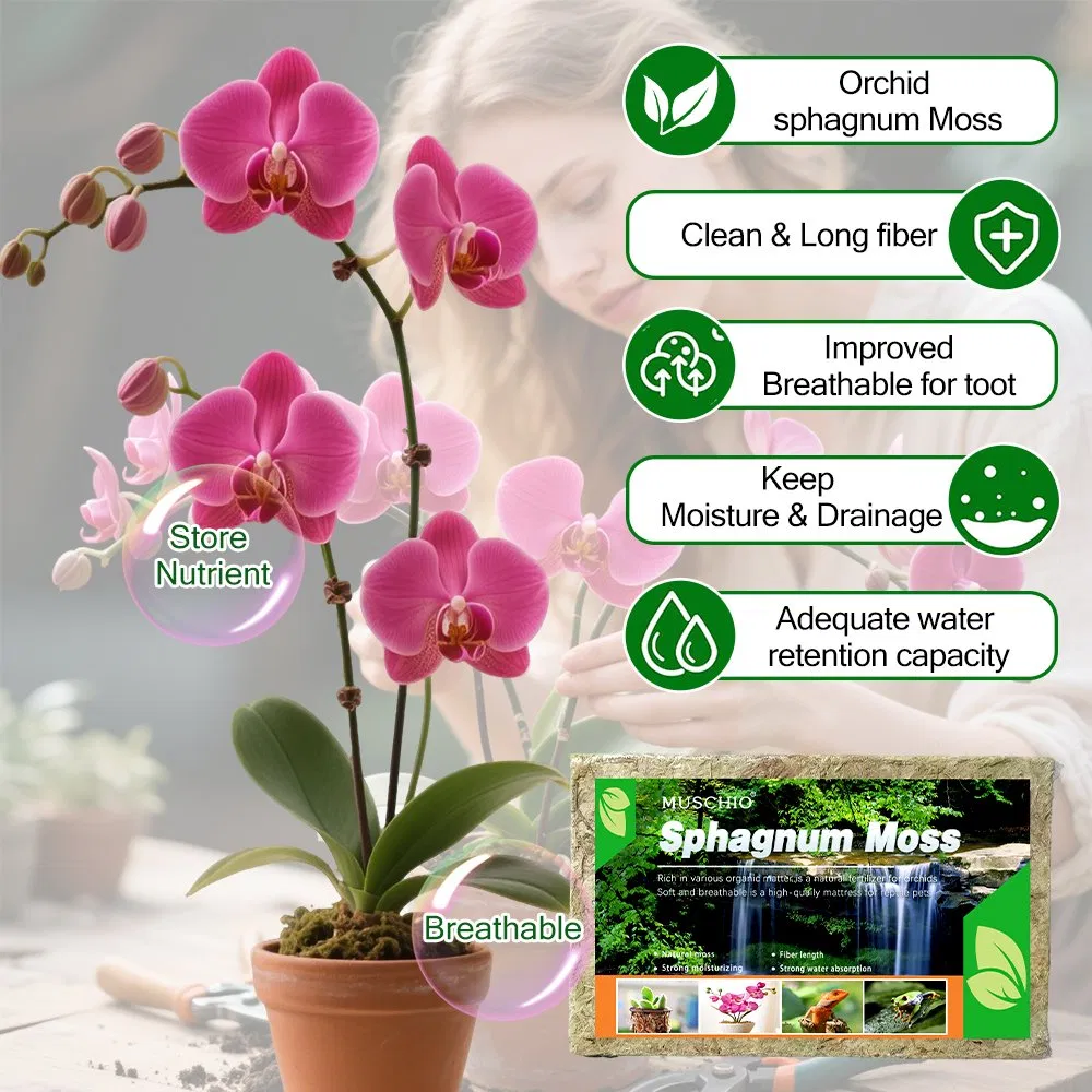 OEM Packing Sphagnum Moss for Potted Flowers Cultivation as Gardening Materials and Seedling Culture Medium 1500g/Bag