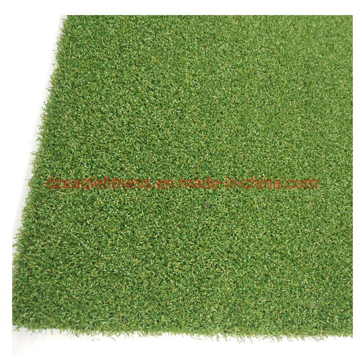 High Quality Artificial Grass for Indoor Gym