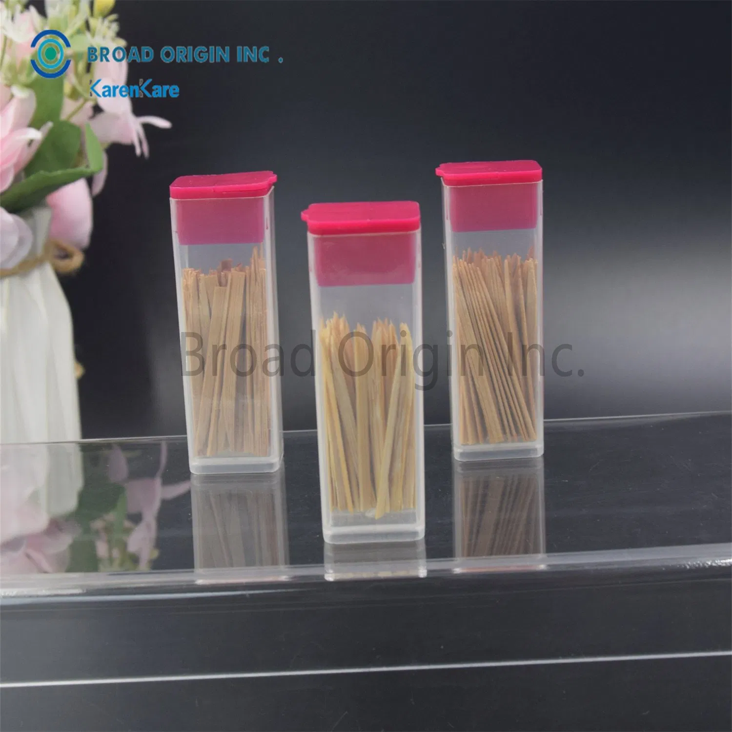 Eco-Friendly Bamboo Toothpicks Biodegradable for Teeth Cleaning Interdental Brush Picks
