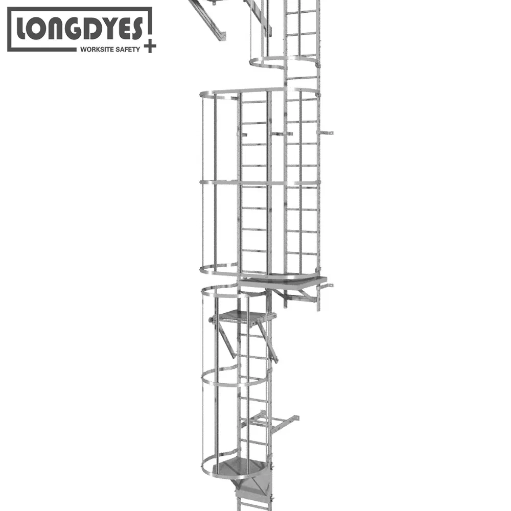 Fixed Vertical Ladder with Safety Cage