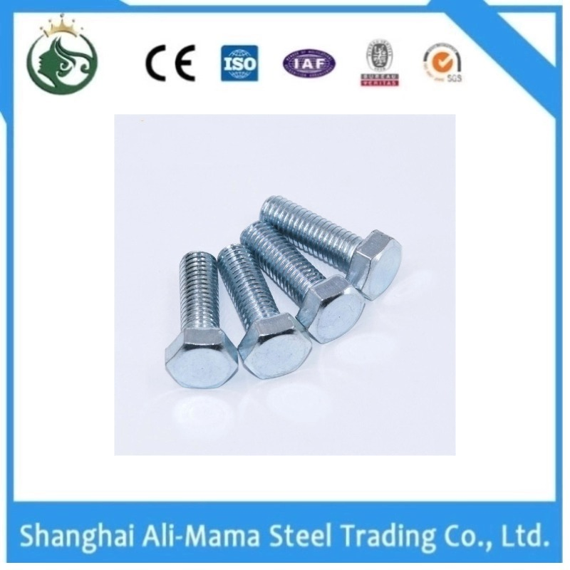 Grade 4.8/8.8/10.9/12.9 High Strength Bolt 40crmo Alloy Steel Bolts and Gasket