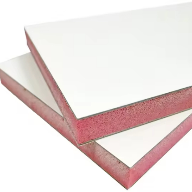 XPS/EPS/PU Polyurethane/PP Honeycomb FRP Fiberglass Sandwich Panels for Caravan