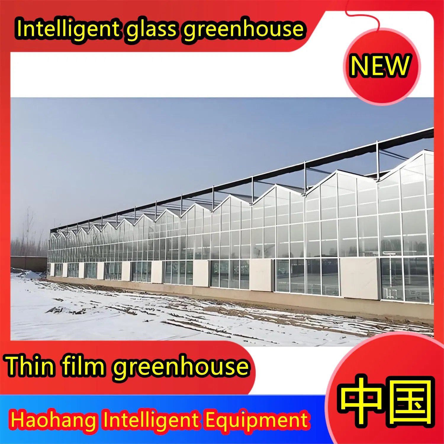 Solar Panel Greenhouse Manufacturing Plants Exporting to Europe