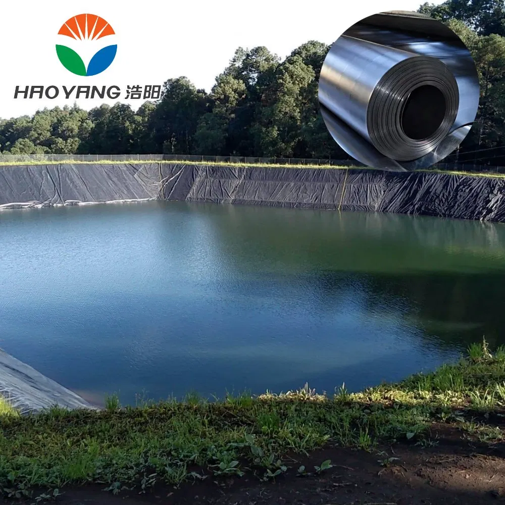 Artificial Rock Ponds and Streams /Construction Industry/Geomembrane for Stormwater Retention Pond