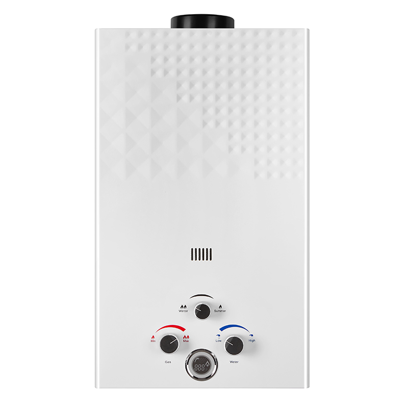 China Domestic Hot Gas Water Heater Flue Type Gas Tankless Instant Water Heater for Home