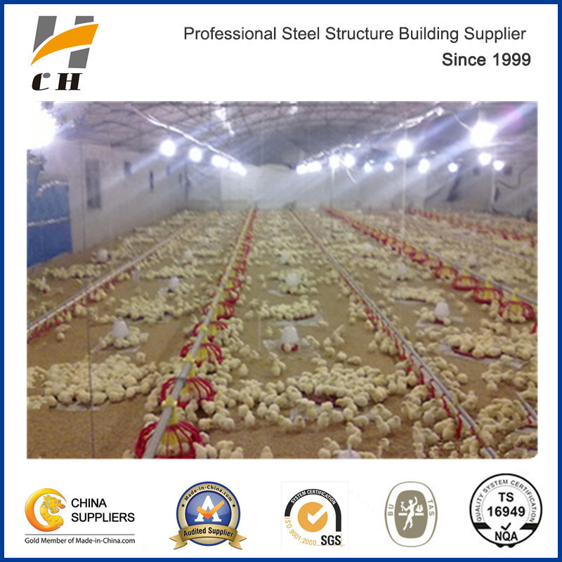 Factroy Price Quality Prefab/Prefabricated Light Weight Steel Structure Frame Metal Livestock Farm /Poultry Farms/Poultry Chicken Farm with Equipment