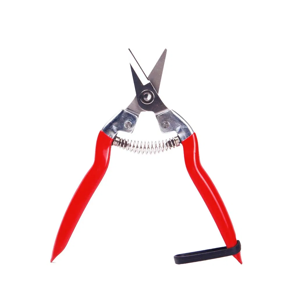 Rust-Resistant Garden Scissors with Leather Holster