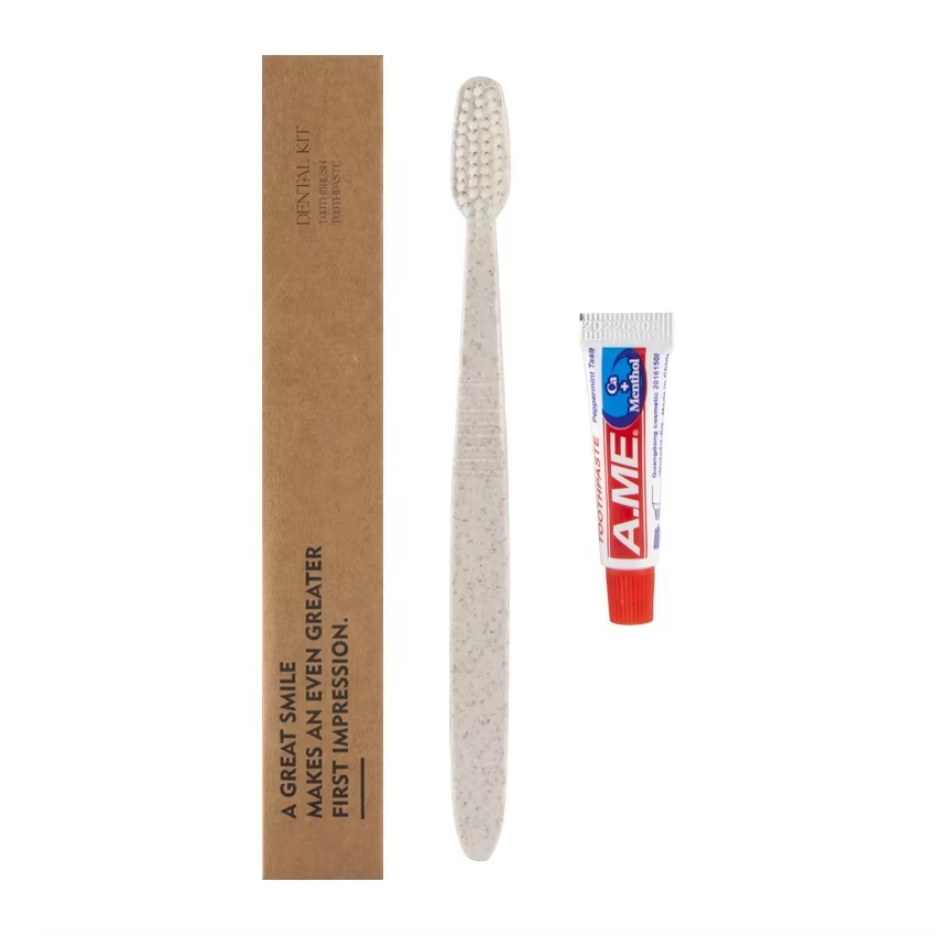 Travel Dental Kit Featuring Hotel Toothbrush and Mini Toothpaste