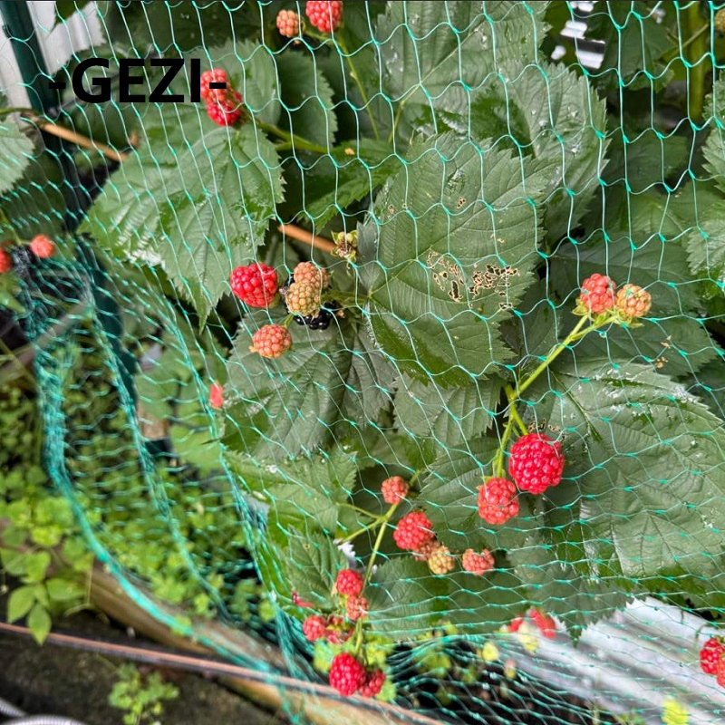 100% PE Plastic Anti-Bird Net for Greenhouse Garden Agriculture Plants and Orchards