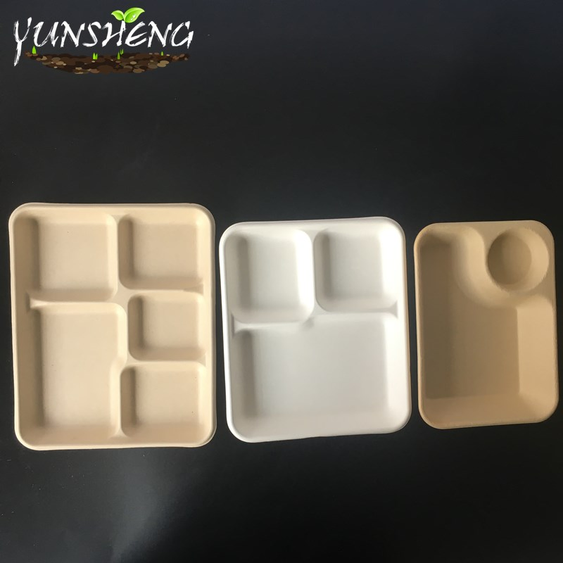 Disposable Biodegradable Food Paper Trays, Five Compartments