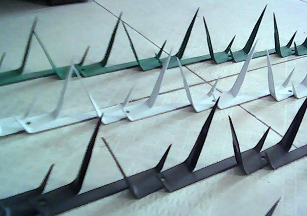 Anti-Climed Razor Spikes/ Wall Spike