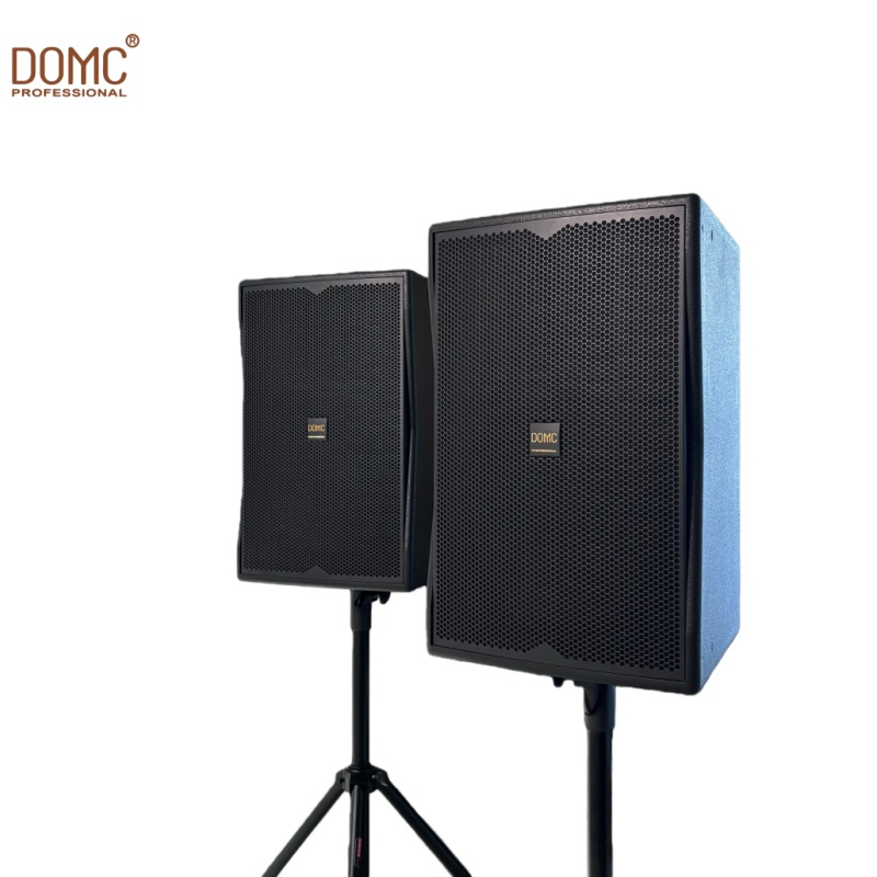 Domc K210 10-Inch Speaker: Perfect for Studio Use