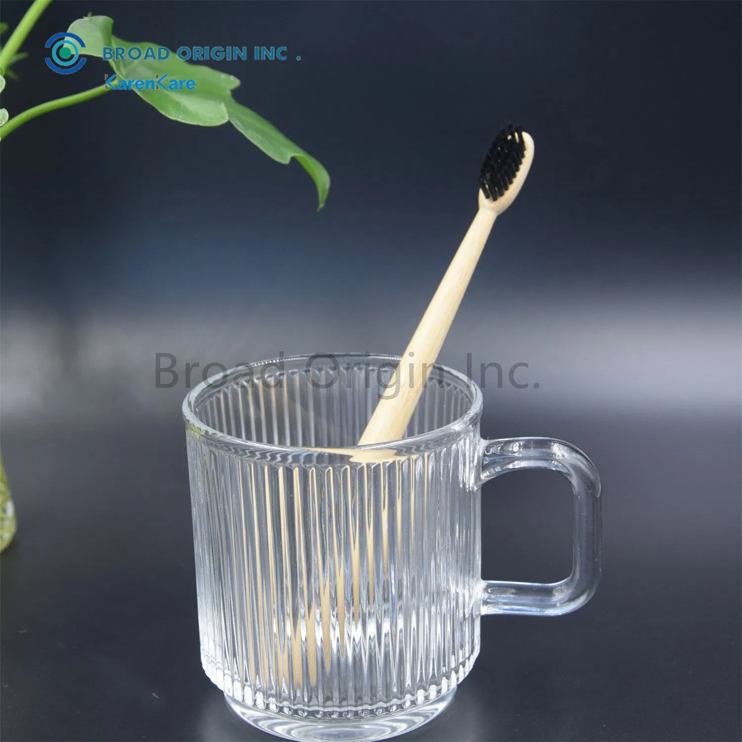 Wooden Handle Bamboo Tooth Brushes Family Pack Wholesale Eco Bamboo Toothbrush