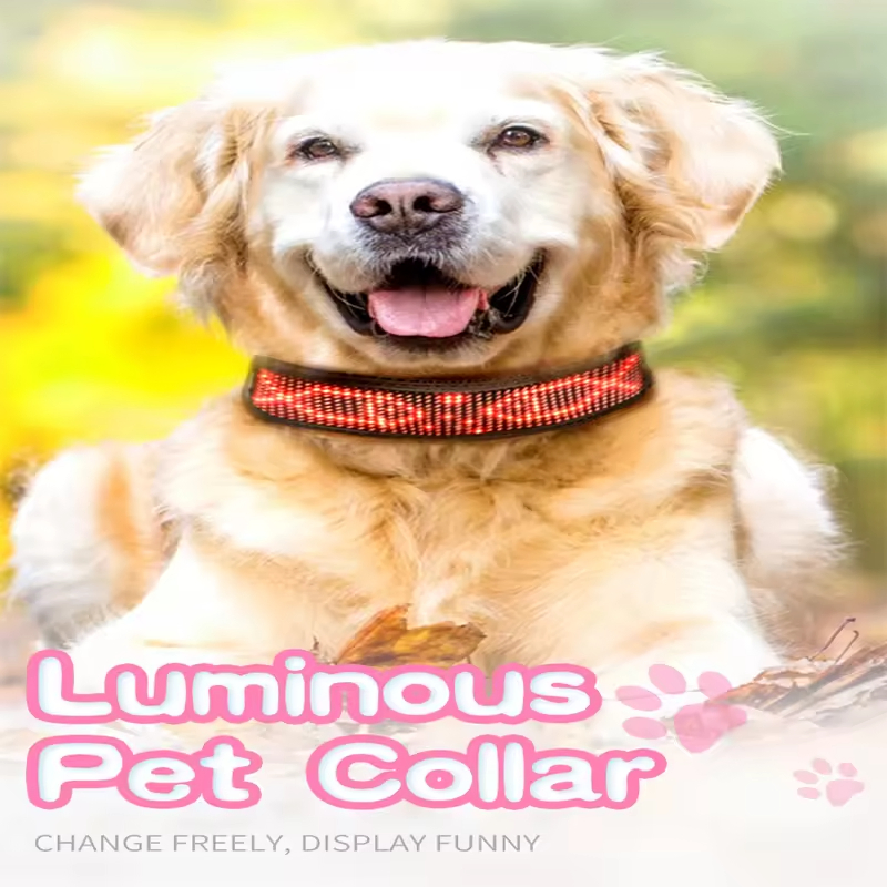Factory Price Luminous Scrolling USB Rechargeable Flashing LED Pets Band