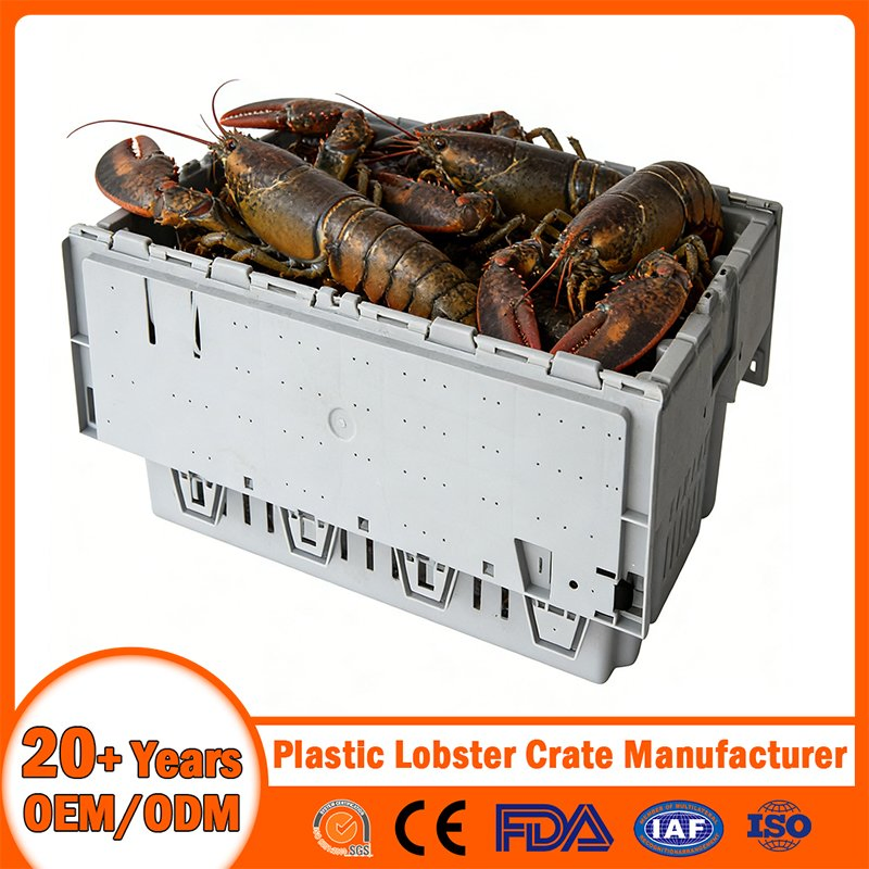 Stackable Nestable Ventilation/Drainage/Solid/Vented/Perforated Handheld Plastic Lobster Crate with Drainage Hole/Bale Arm/Hand/Divided for Seafood Transport