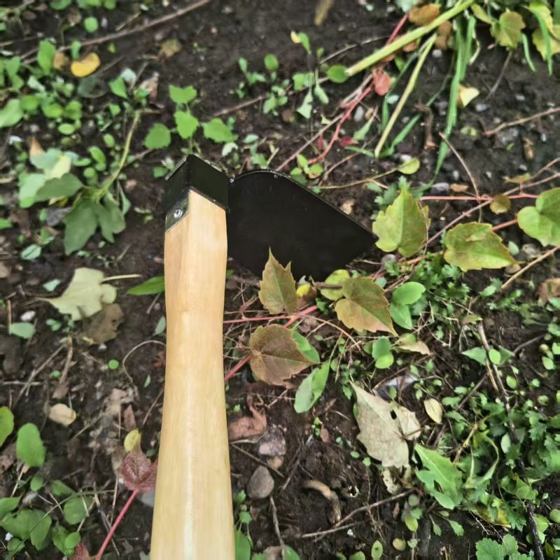 Factory Hot Sale Multi-Functional Carbon Steel Hoe-Fork for Agricultural