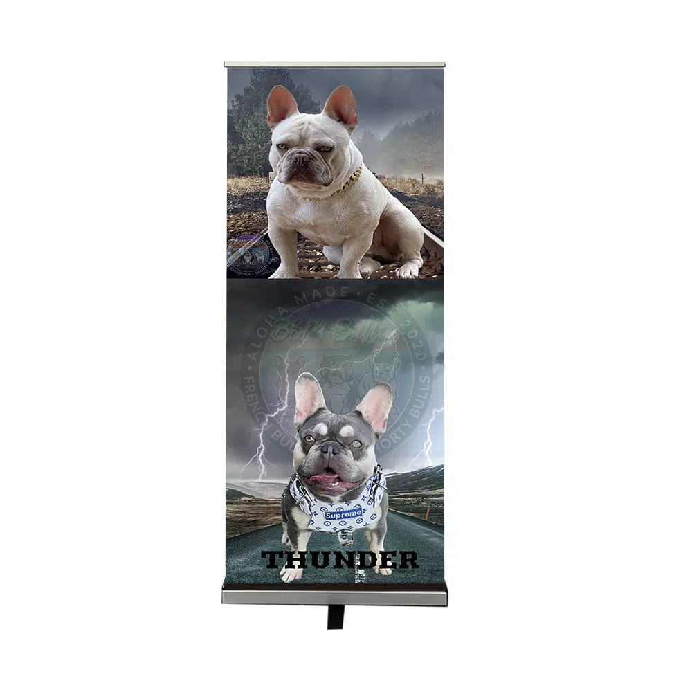 High Quality Portable Aluminum Frame Roll up Banner Custom Design with Logo for Advertising