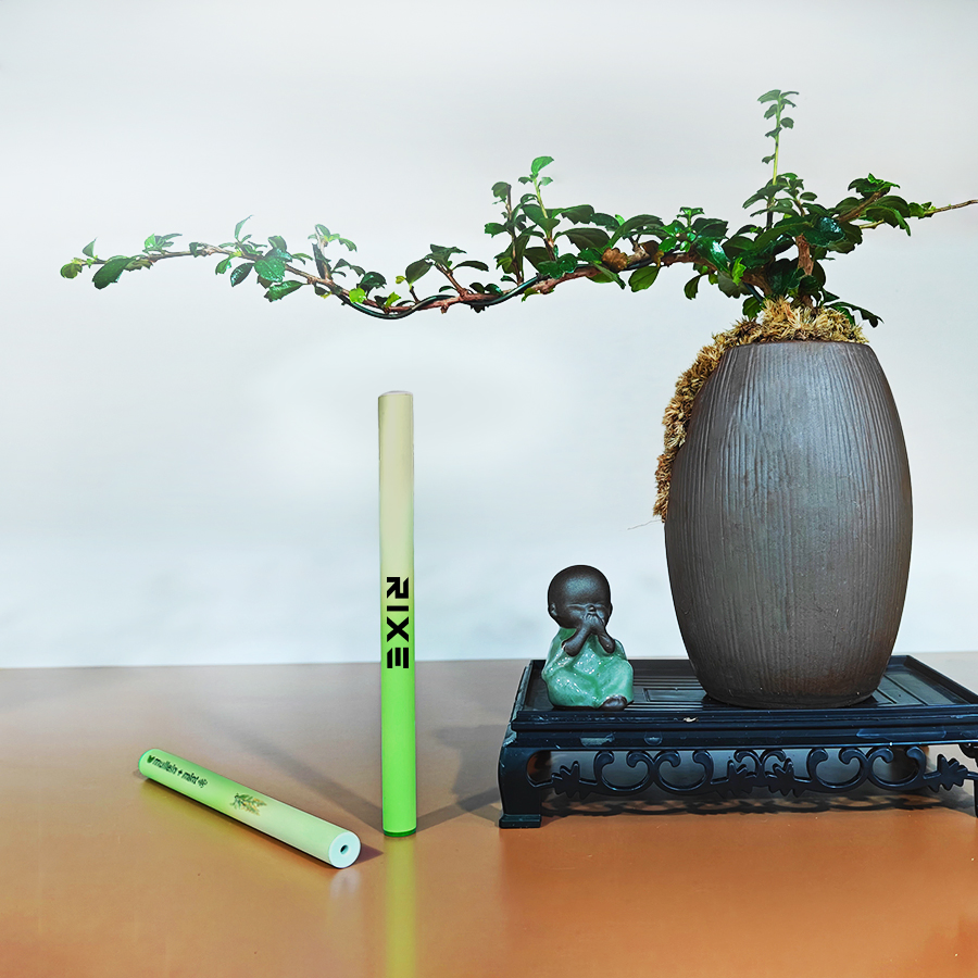 Natural Herbal Diffuser Pen for Enhanced Focus and Stress Relief