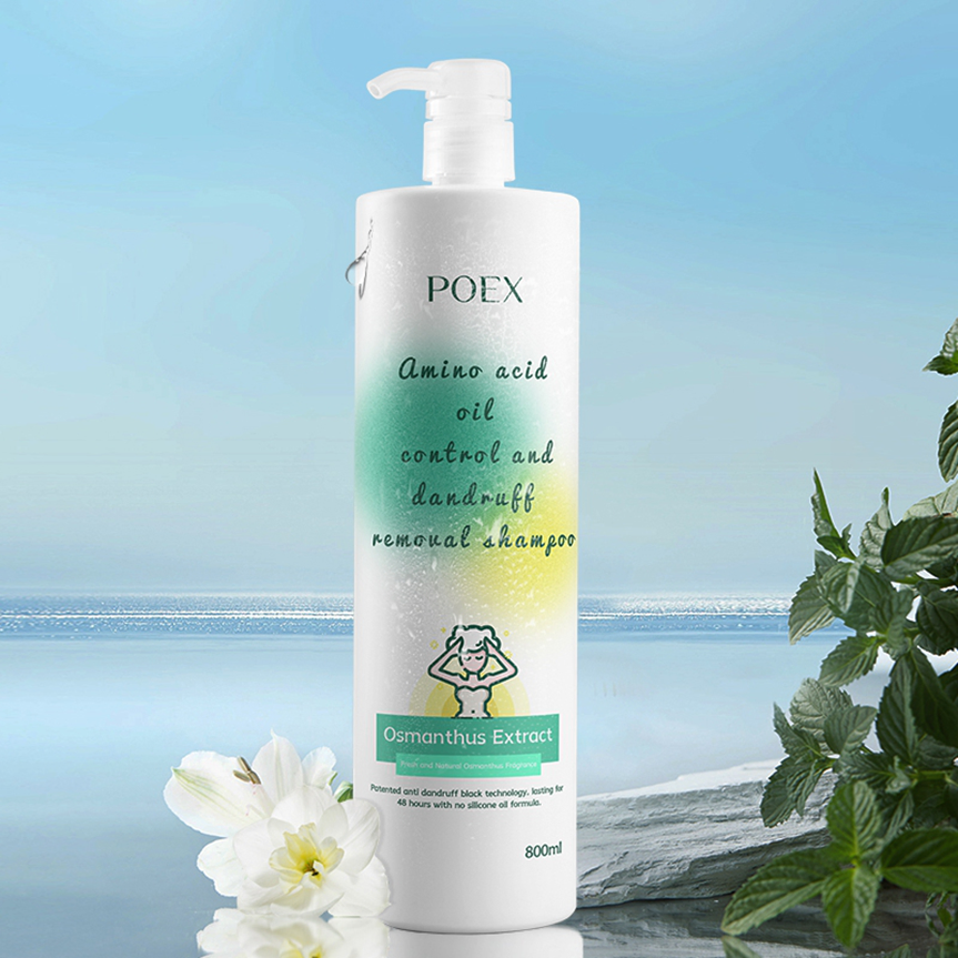 Plastic Shampoo Bottle Shampoo Bottles for Hotel Supply, Personal Care, and Cosmetics