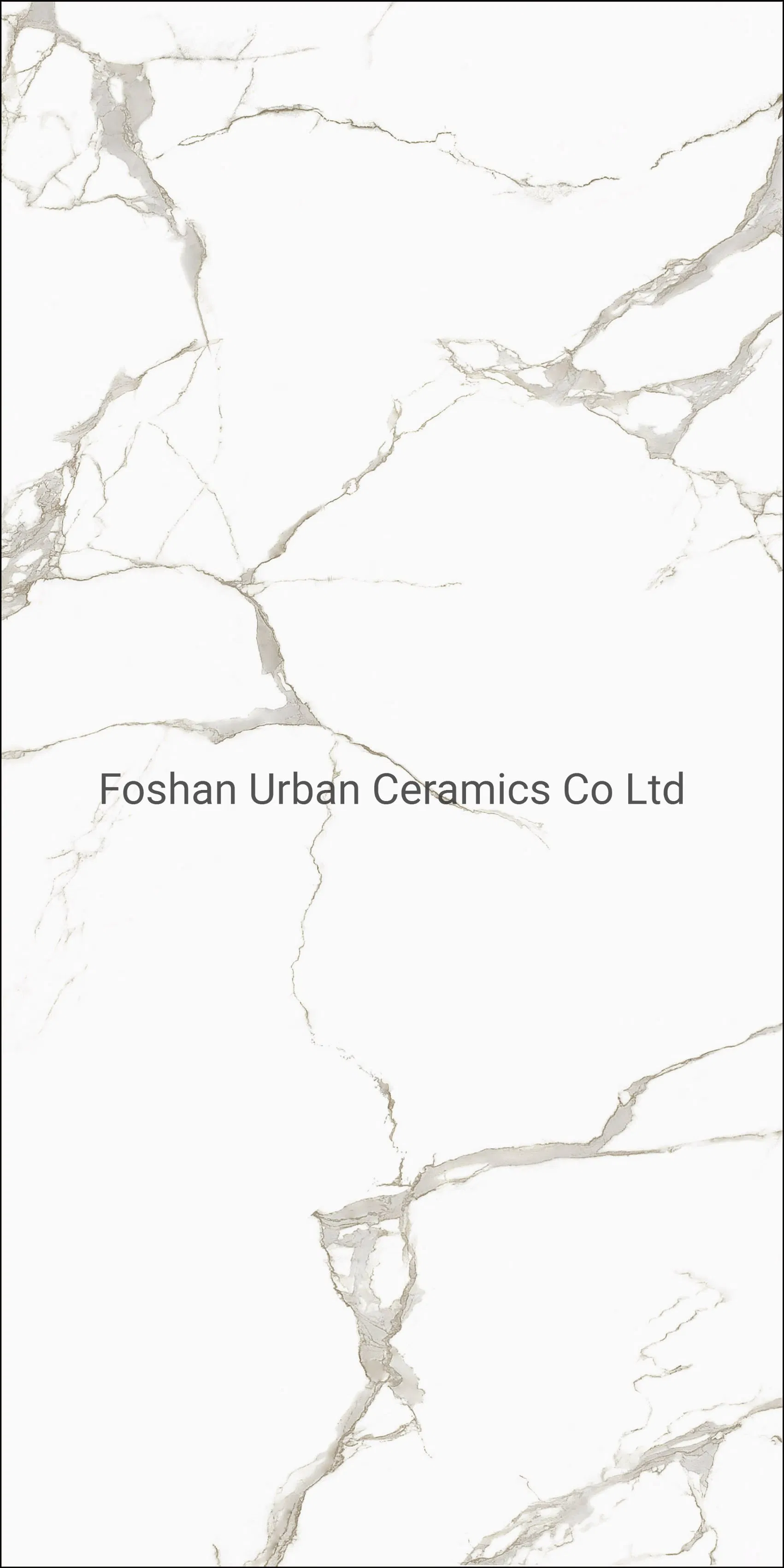 Tb612001 Foshan Caracatta White Carara White Color Decoration 600X1200mm Full Body Glazed Polished Porcelain Marble Floor Wall Tile