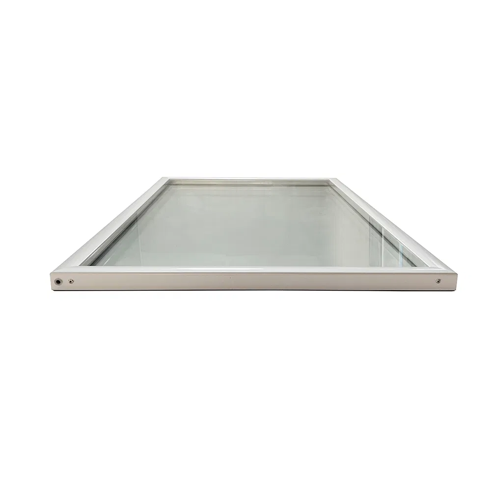 Double Layers Glass Freezer Glass Display Door
