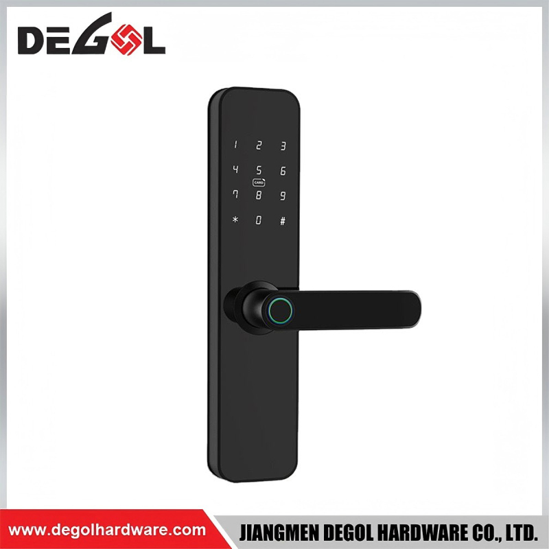 Waterproof Smart Door Lock with Voice Control Compatible with Alexa & Google Home