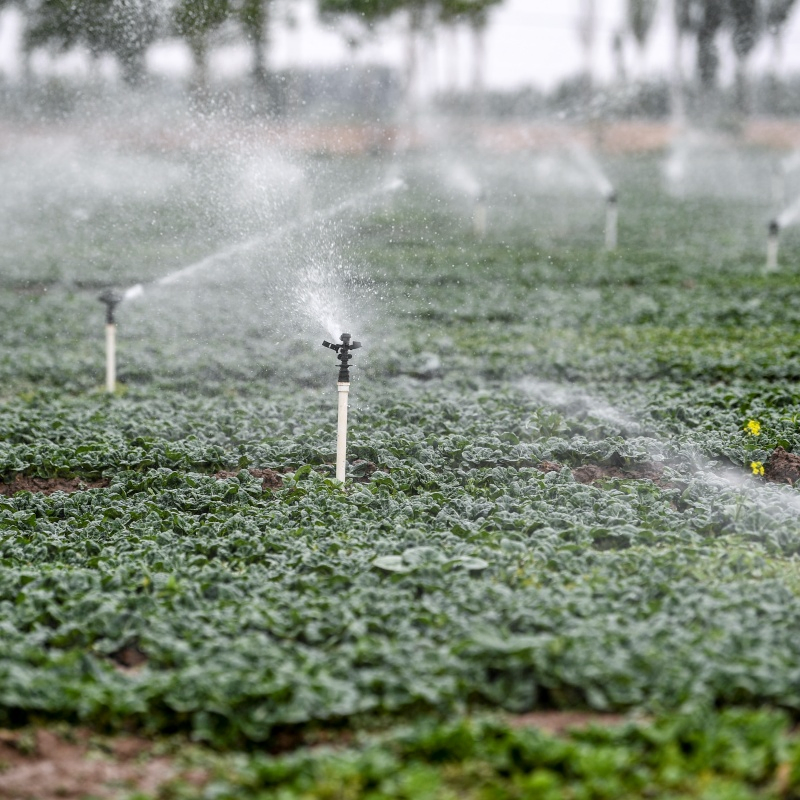 Female Threaded 1" Plastic Impluse Impact Sprinkler for Big Farm Irrigation System