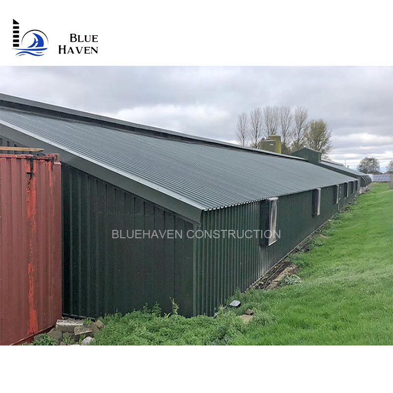 Birds Poultry Farm Equipment Chickens House Breeding