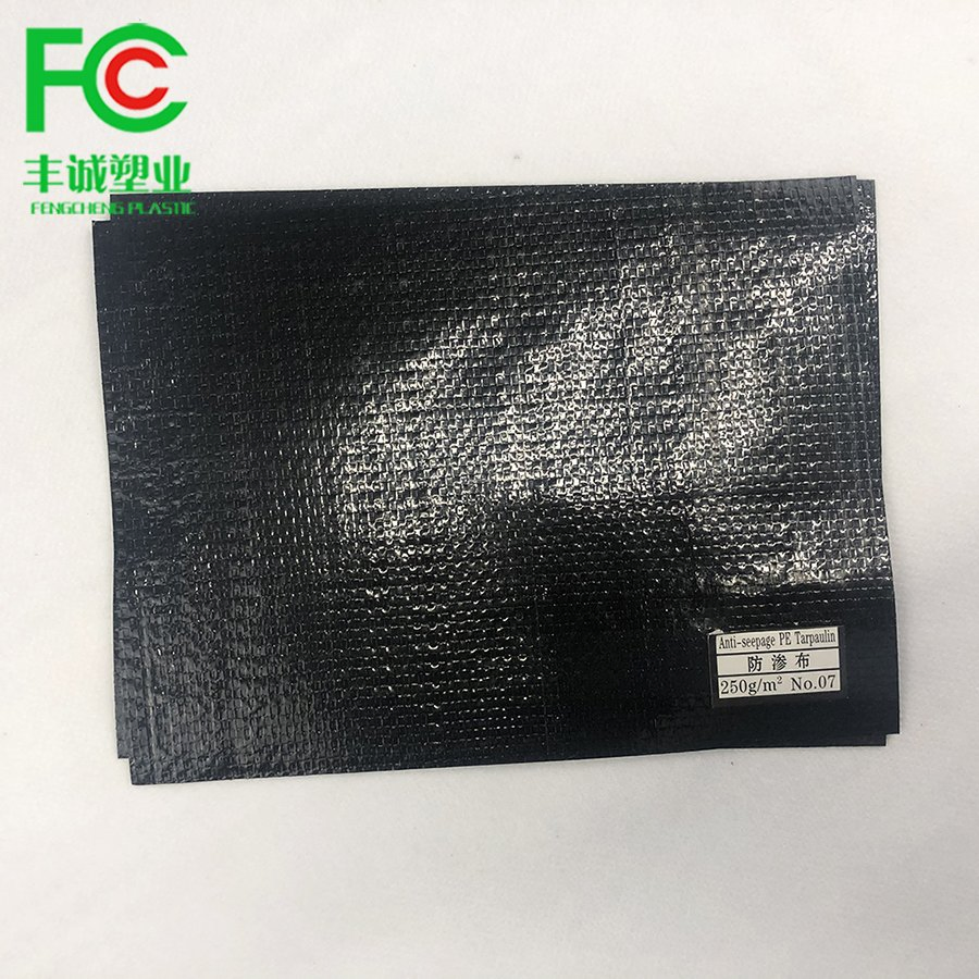 Swim Pool Fish Pond Farm Liner HDPE Geomembrane