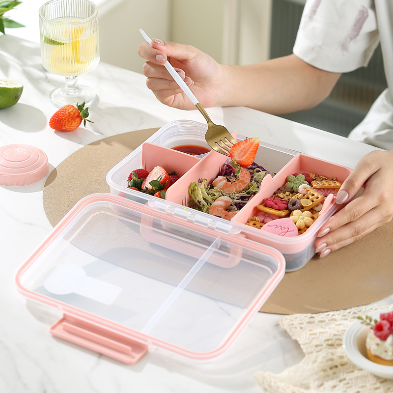 Compact Food Preservation System for Freshness on The Go