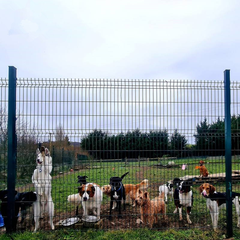 High Quality Decorative Garden Metal Fence 3D Curved Guardrail