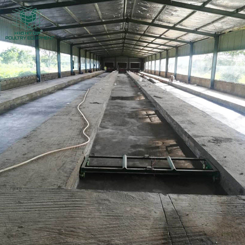 Tunnel Vent System Prefab Chicken Shed For Pan Feeding Broiler House