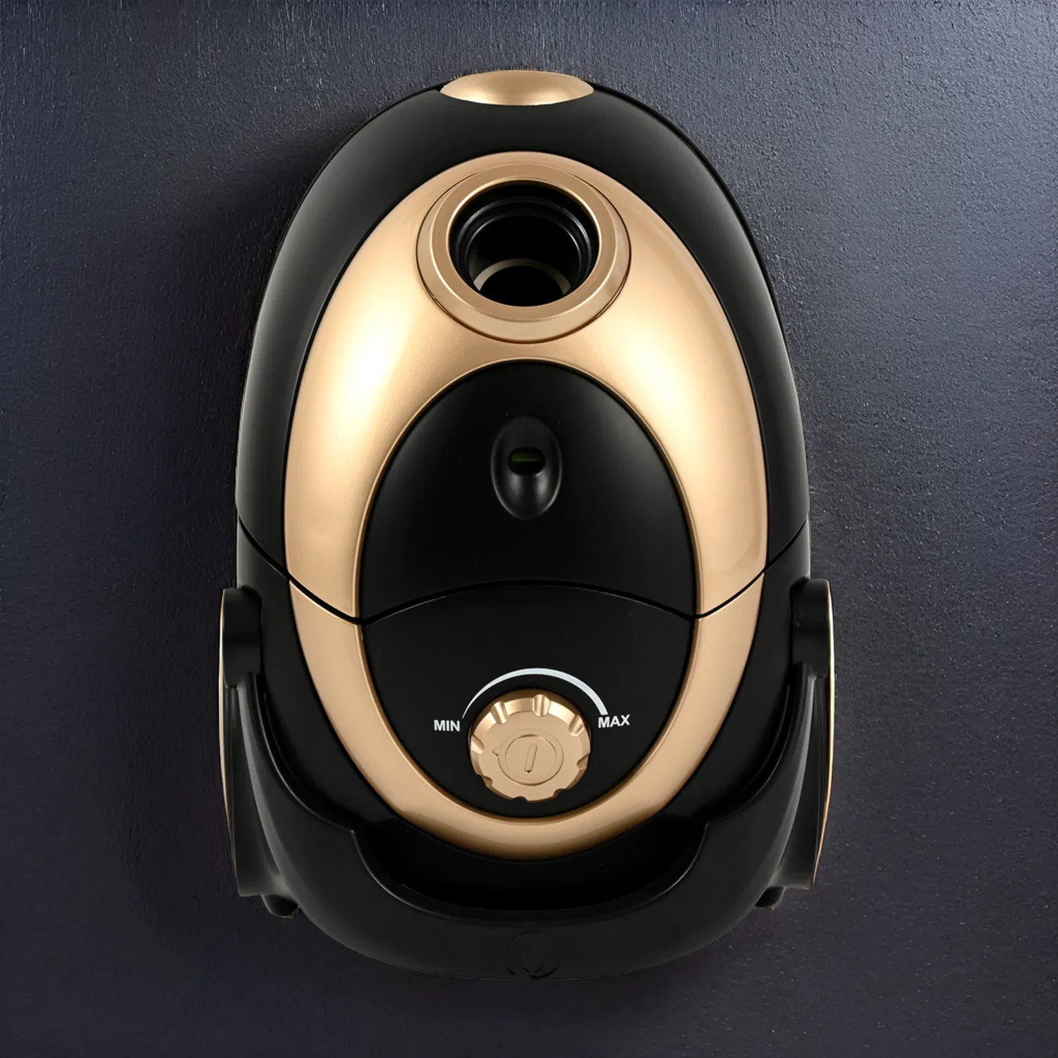 Powerful Suction Canister Vacuum for Effortless Home Cleaning